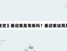 《雪迷宫》姜迎紫是毒贩吗？姜迎紫结局是什么