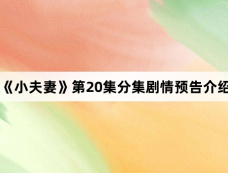 《小夫妻》第20集分集剧情预告介绍