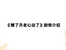《糟了月老心动了》剧情介绍