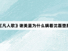 《凡人歌》谢美蓝为什么瞒着沈磊堕胎