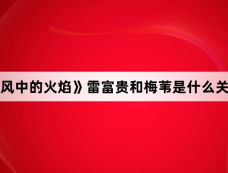 《风中的火焰》雷富贵和梅苇是什么关系