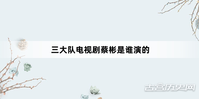 三大队电视剧蔡彬是谁演的