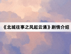 《北城往事之风起云涌》剧情介绍