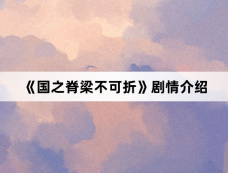 《国之脊梁不可折》剧情介绍