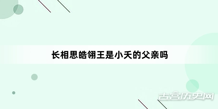 长相思皓翎王是小夭的父亲吗