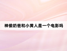神偷奶爸和小黄人是一个电影吗