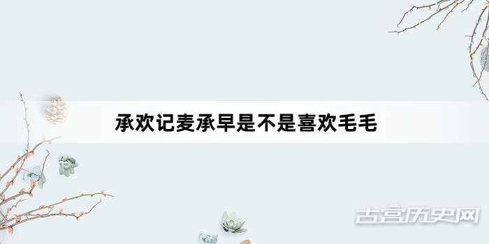 承欢记麦承早是不是喜欢毛毛
