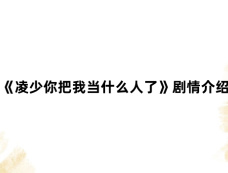 《凌少你把我当什么人了》剧情介绍