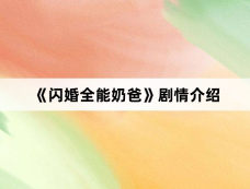 《闪婚全能奶爸》剧情介绍