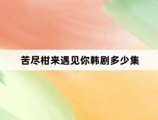 苦尽柑来遇见你韩剧多少集