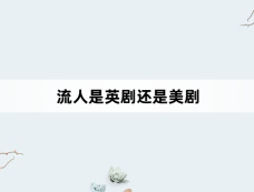 流人是英剧还是美剧