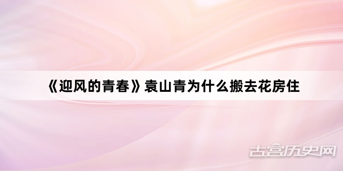 《迎风的青春》袁山青为什么搬去花房住
