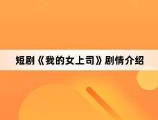 短剧《我的女上司》剧情介绍