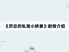 《厉总的私宠小娇妻》剧情介绍