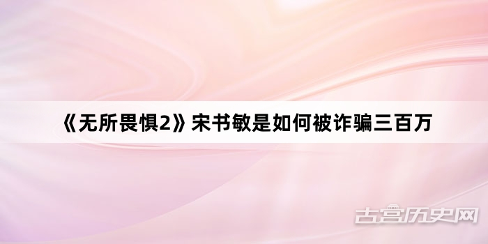 《无所畏惧2》宋书敏是如何被诈骗三百万