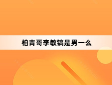 柏青哥李敏镐是男一么