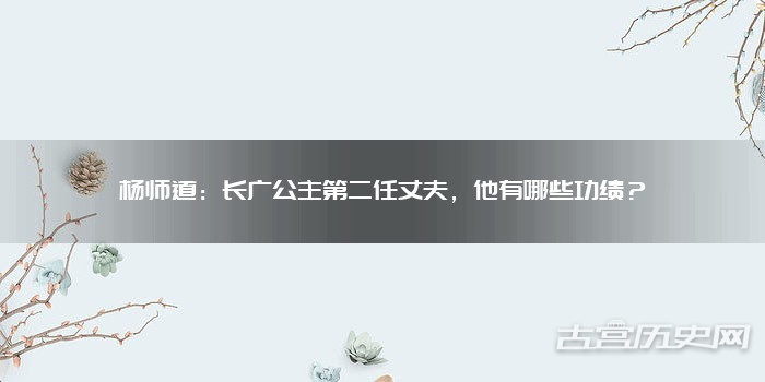 杨师道：长广公主第二任丈夫，他有哪些功绩？