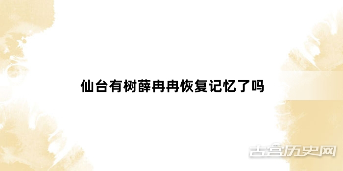 仙台有树薛冉冉恢复记忆了吗