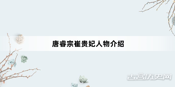 唐睿宗崔贵妃人物介绍