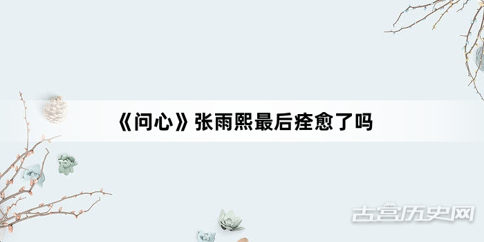 《问心》张雨熙最后痊愈了吗