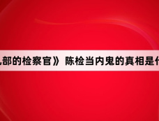 《九部的检察官》 陈检当内鬼的真相是什么