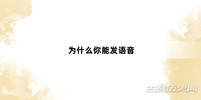 “为什么你能发语音”网络梗词解释