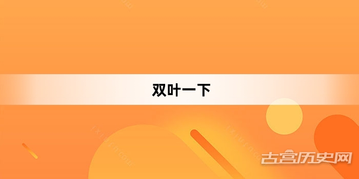 “双叶一下”网络梗词解释