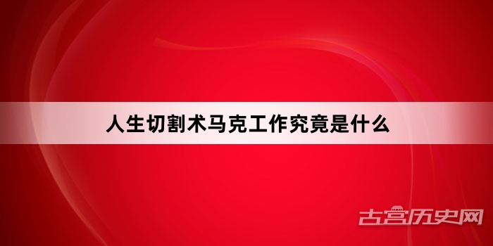 人生切割术马克工作究竟是什么