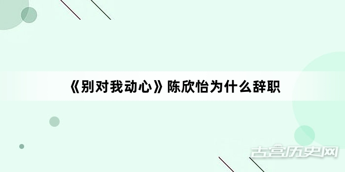 《别对我动心》陈欣怡为什么辞职