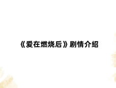 《爱在燃烧后》剧情介绍