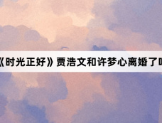 《时光正好》贾浩文和许梦心离婚了吗