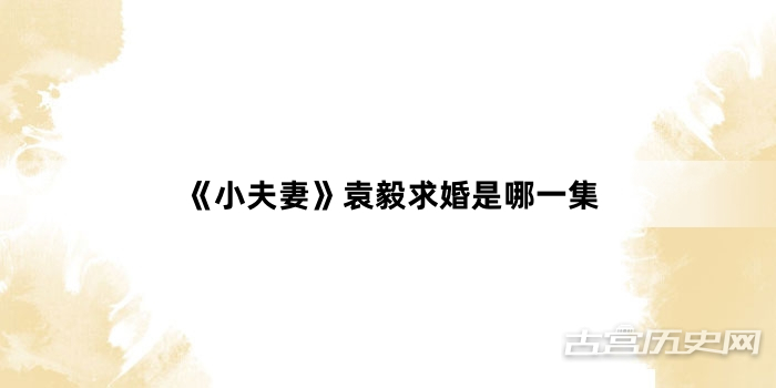 《小夫妻》袁毅求婚是哪一集