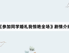 《参加同学婚礼我惊艳全场》剧情介绍
