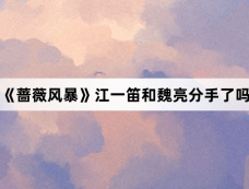 《蔷薇风暴》江一笛和魏亮分手了吗