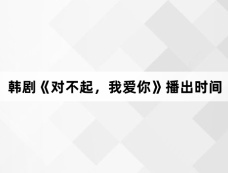 韩剧《对不起，我爱你》播出时间