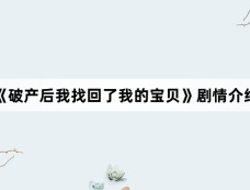 《破产后我找回了我的宝贝》剧情介绍