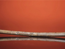 贾湖骨笛的历史意义