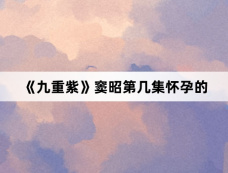 《九重紫》窦昭第几集怀孕的