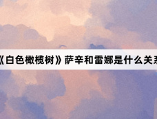 《白色橄榄树》萨辛和雷娜是什么关系