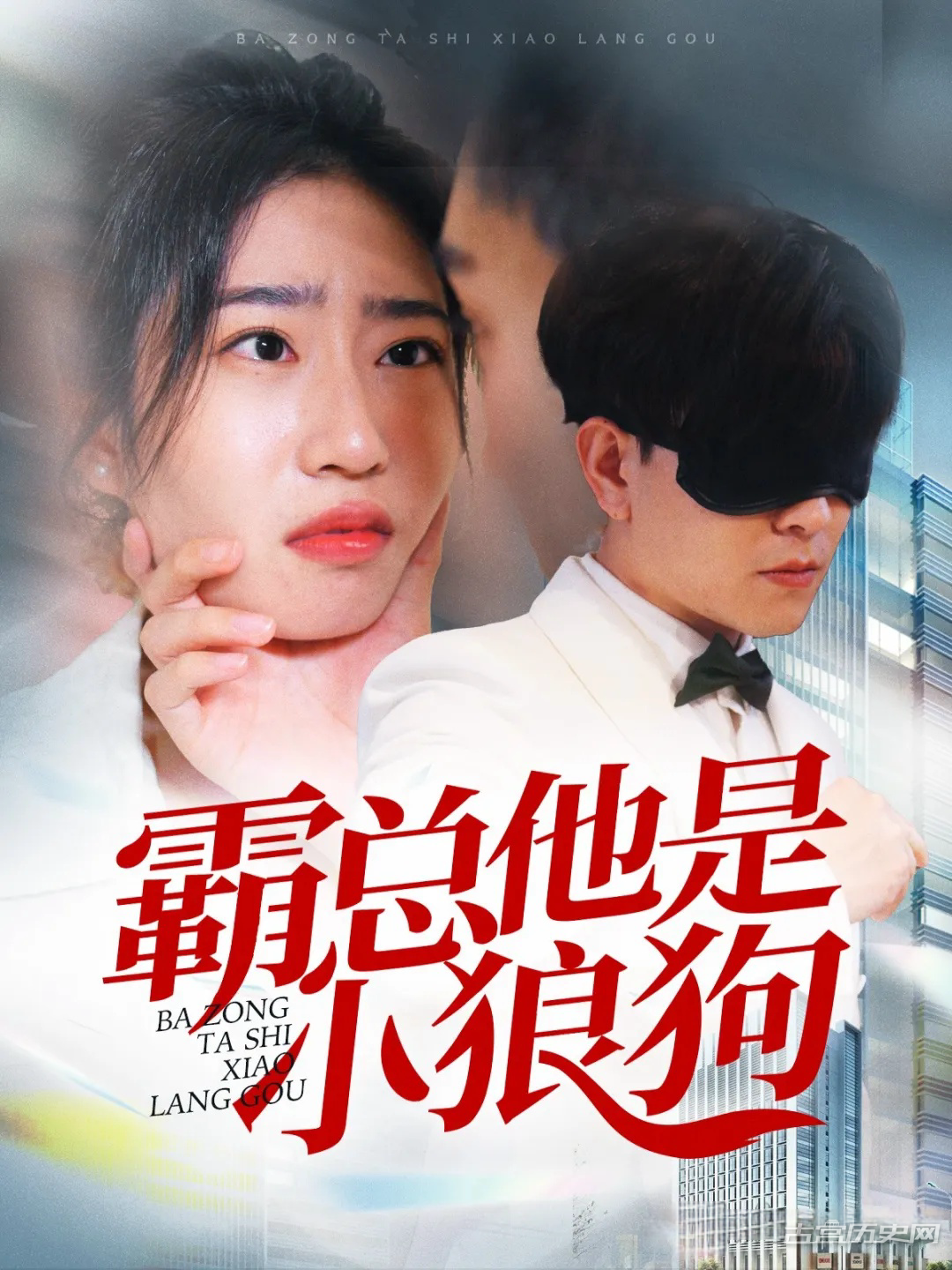 《霸总他是小狼狗》剧情介绍