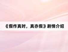 《假作真时,真亦假》剧情介绍