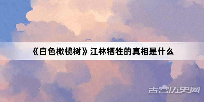 《白色橄榄树》江林牺牲的真相是什么
