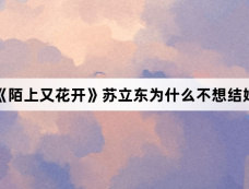 《陌上又花开》苏立东为什么不想结婚