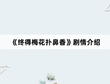《终得梅花扑鼻香》剧情介绍