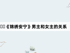 《锦绣安宁》男主和女主的关系
