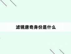 滤镜唐奇身份是什么