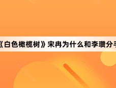 《白色橄榄树》宋冉为什么和李瓒分手