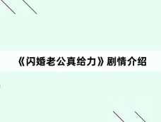 《闪婚老公真给力》剧情介绍