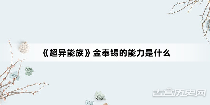 《超异能族》金奉锡的能力是什么