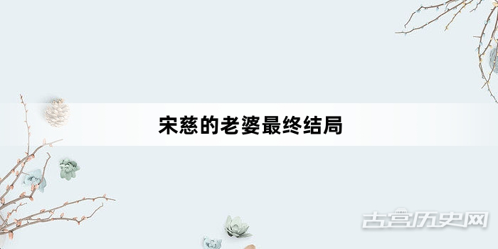 宋慈的老婆最终结局